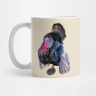 Tom Turkey show off Mug